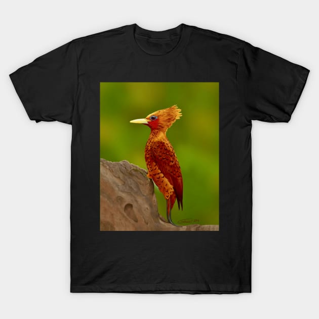 Chestnut Colored Woodpecker T-Shirt by GDGCreations